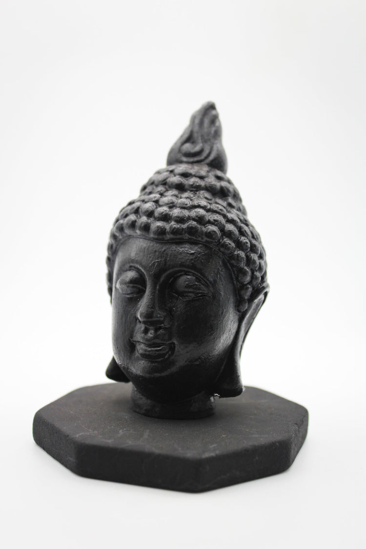 Shungite