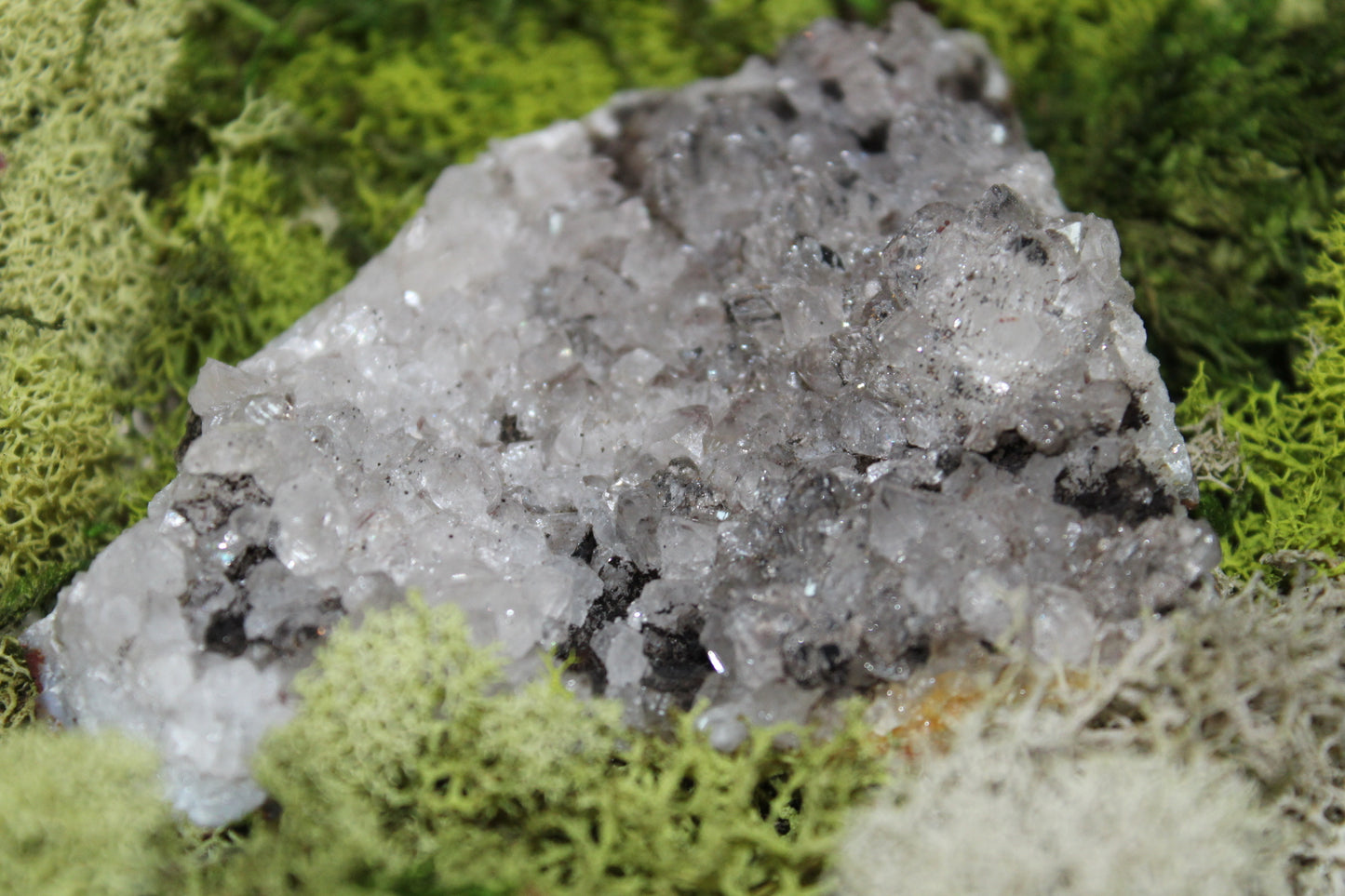 Goethite Quartz #11