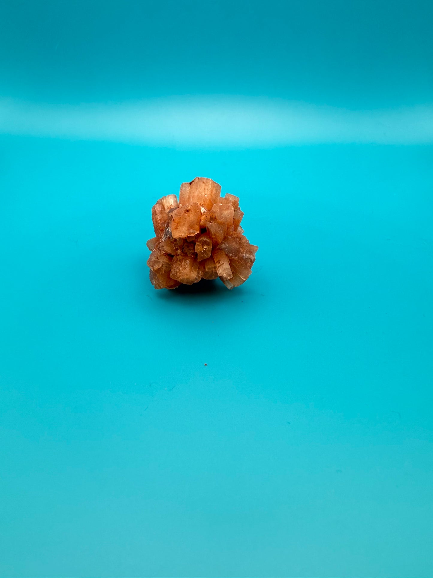 Aragonite cluster with nice crystal formations.