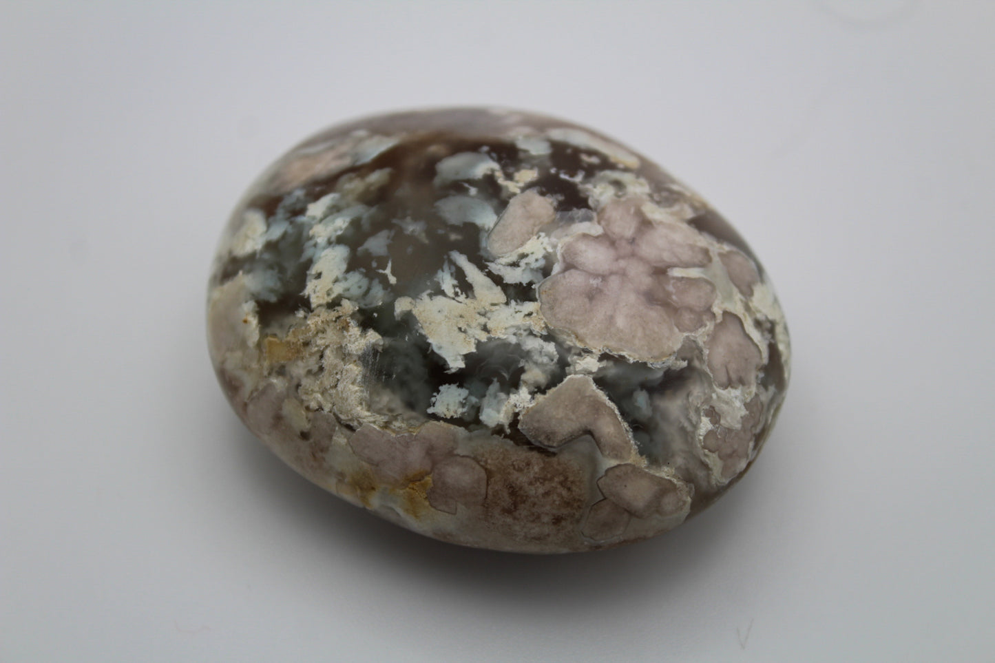 Polished flower agate palm stone.