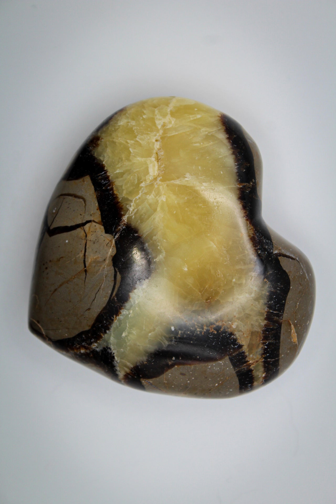 Polished septarian heart.
