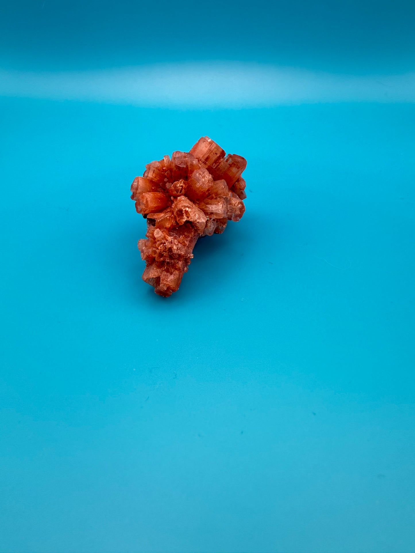 Aragonite cluster with nice crystal formations.