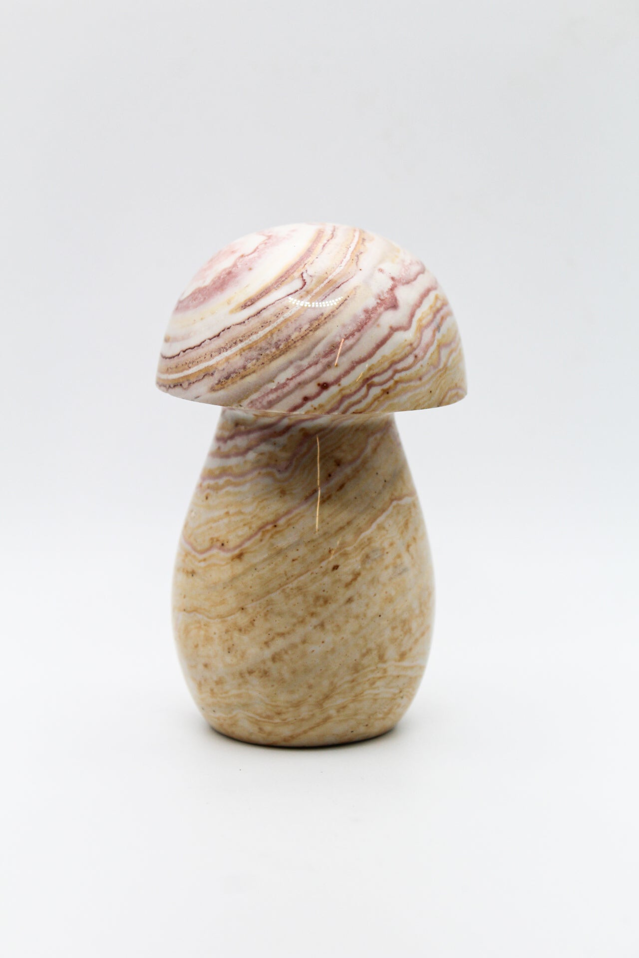 Polychrome Mushroom 2