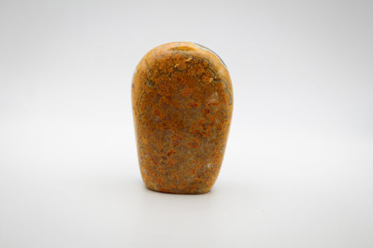 Bumble Bee Jasper polished free form.