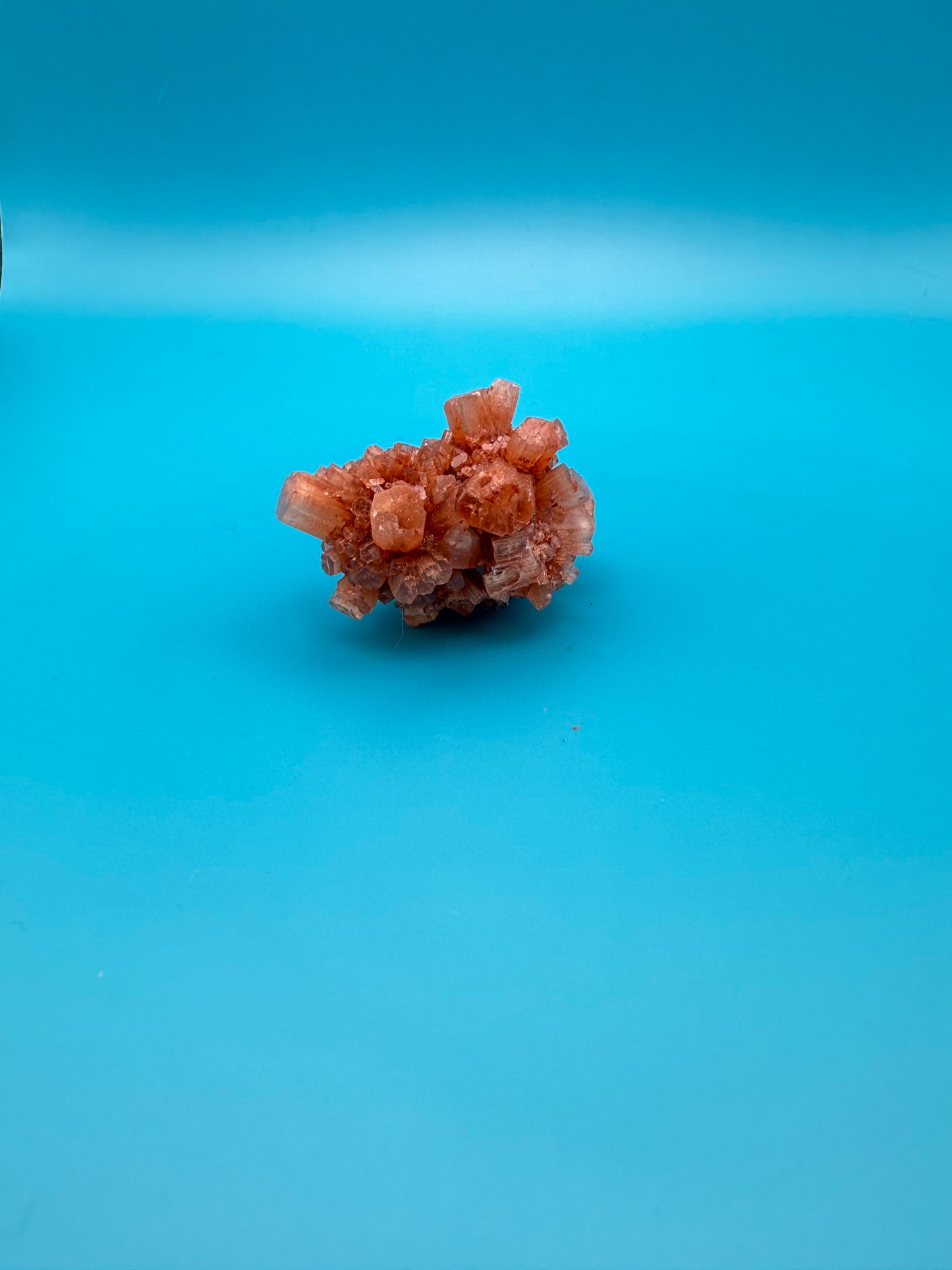 Aragonite cluster with nice crystal formations.
