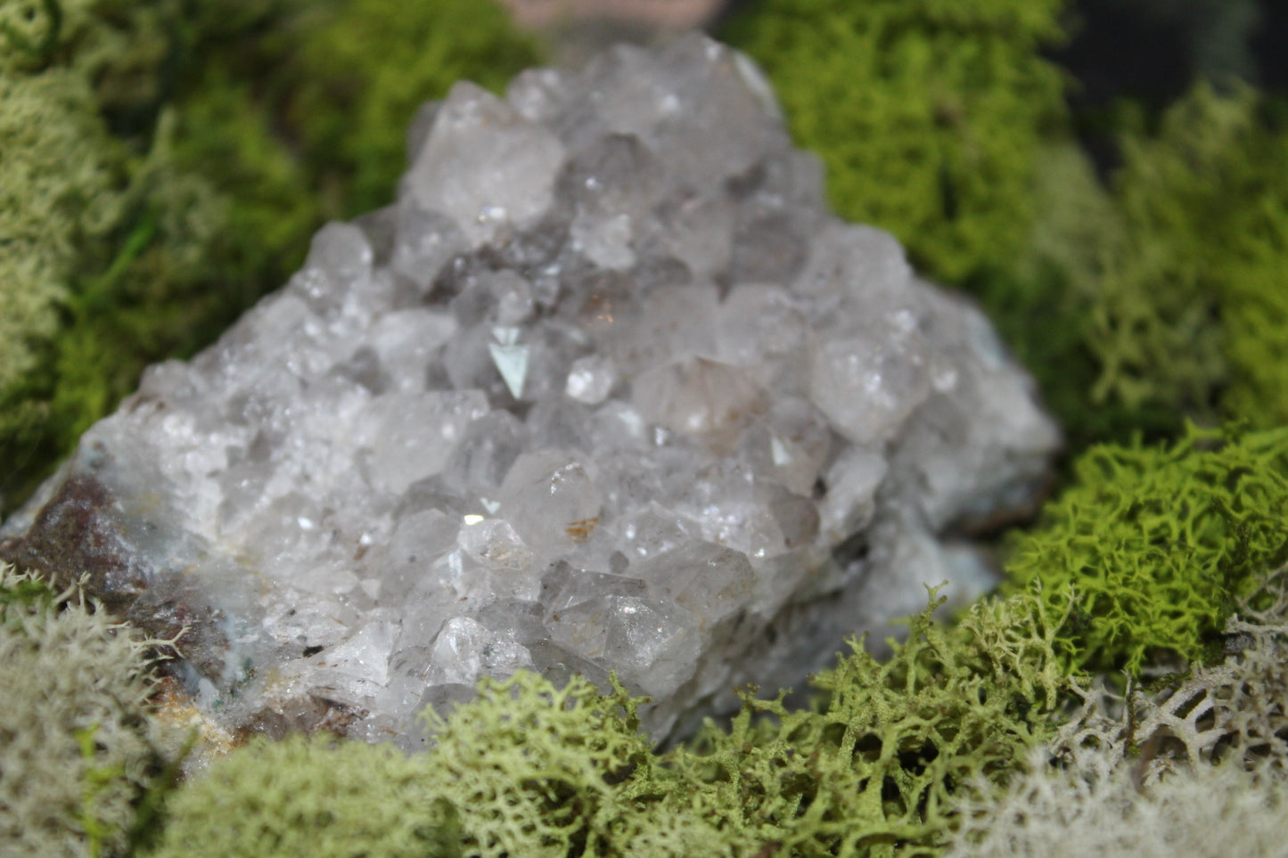 Goethite Quartz #3