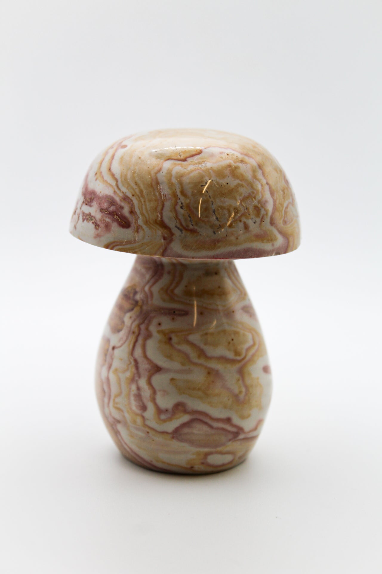 Polychrome Mushroom 1