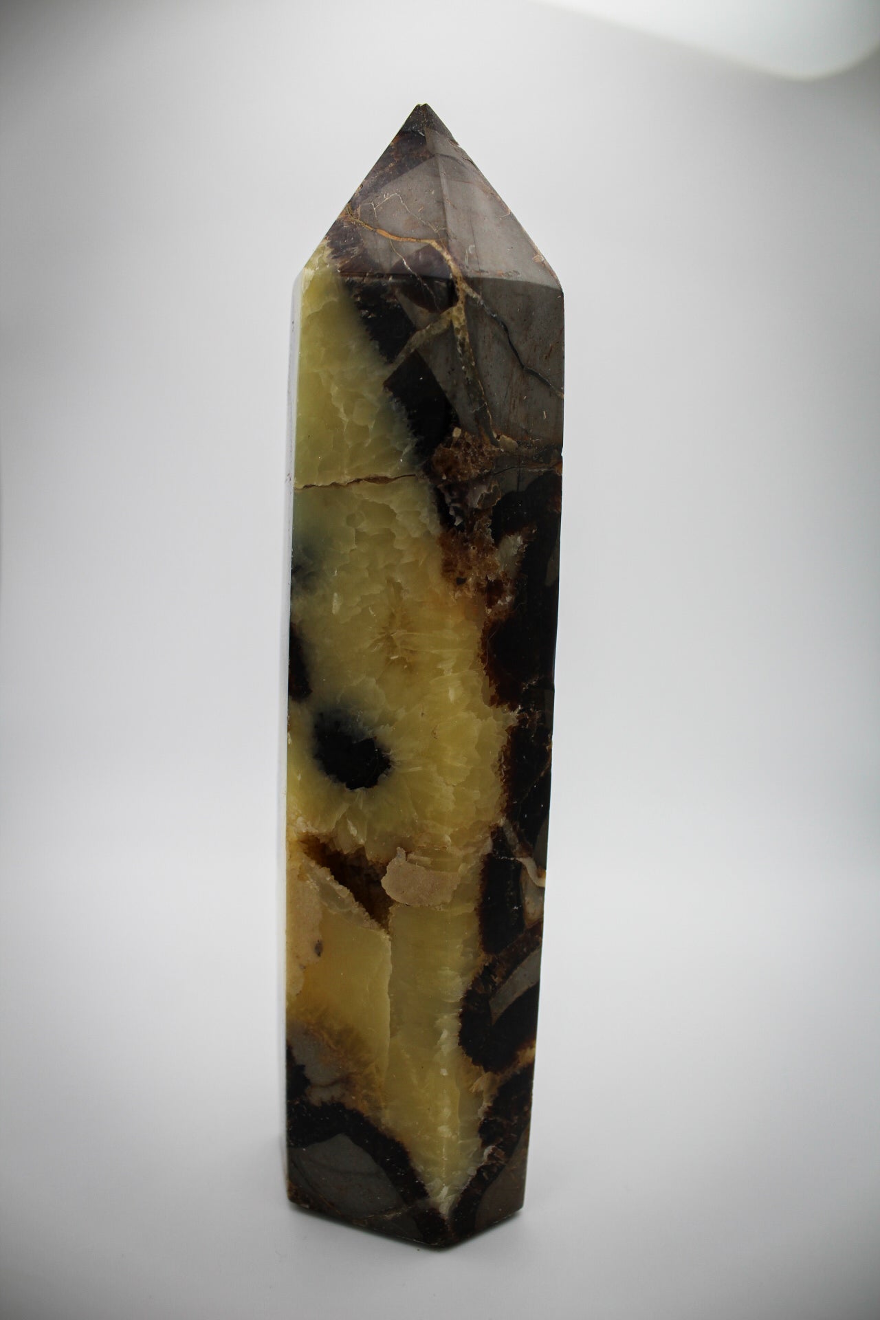 Septarian Tower 6