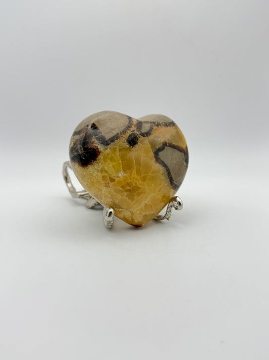 Polished septarian heart.