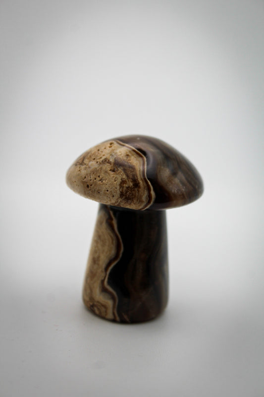 Chocolate Calcite Mushroom