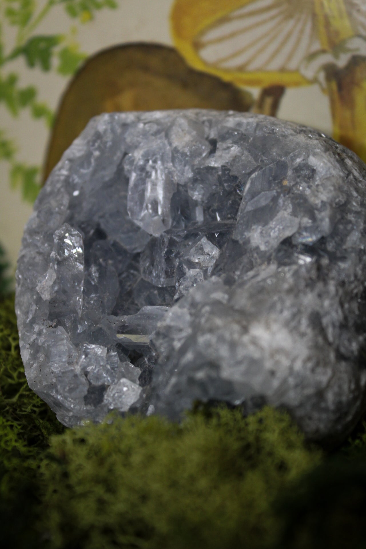 Celestite