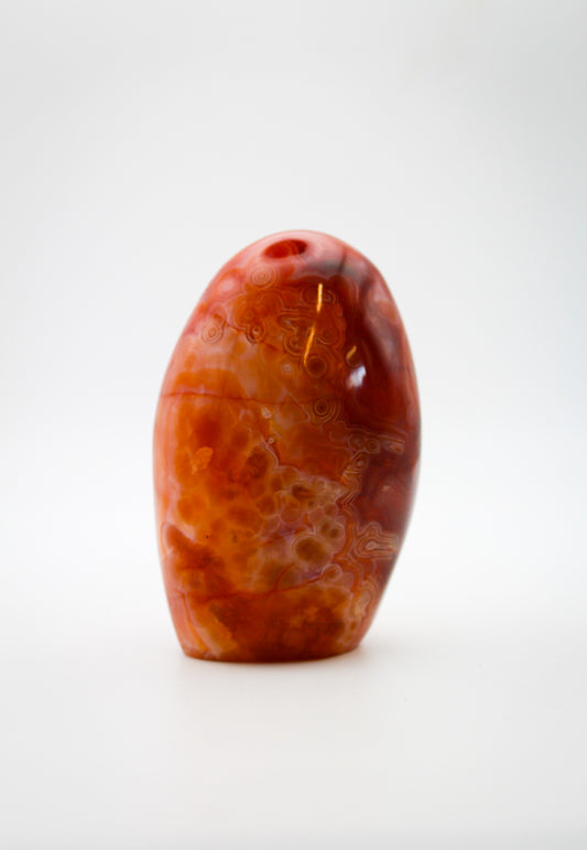 A polished carnelian stone with a free form shape, featuring an orange to red gradient color.