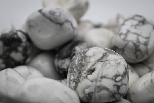 polished howlite tumbles.