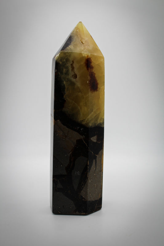 A polished Septarian Tower stone with a combination of grey, yellow, brown, and black colors, commonly known as 'dragon stone'.