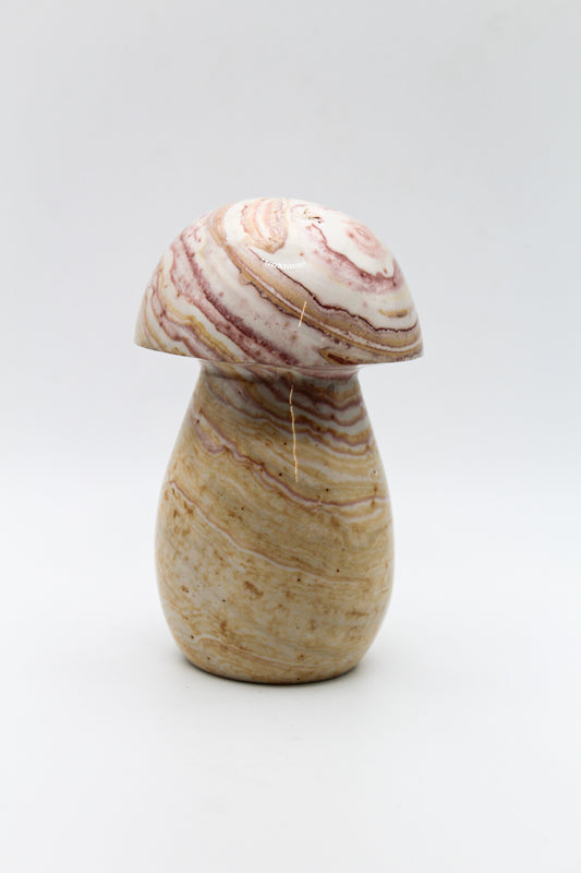 A polished polychrome jasper mushroom carving.