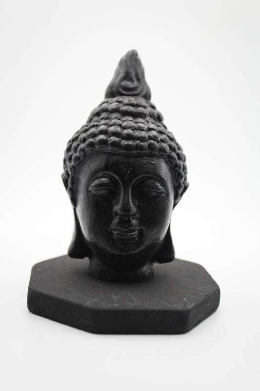 Shungite Buddha Head