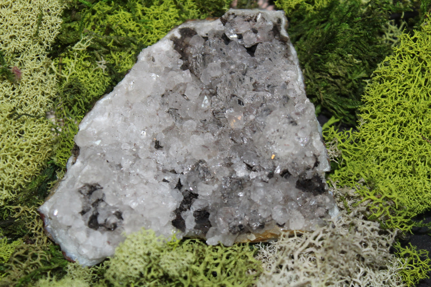 Goethite Quartz #11