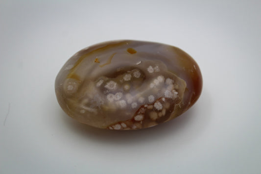 Polished flower agate palm stone.