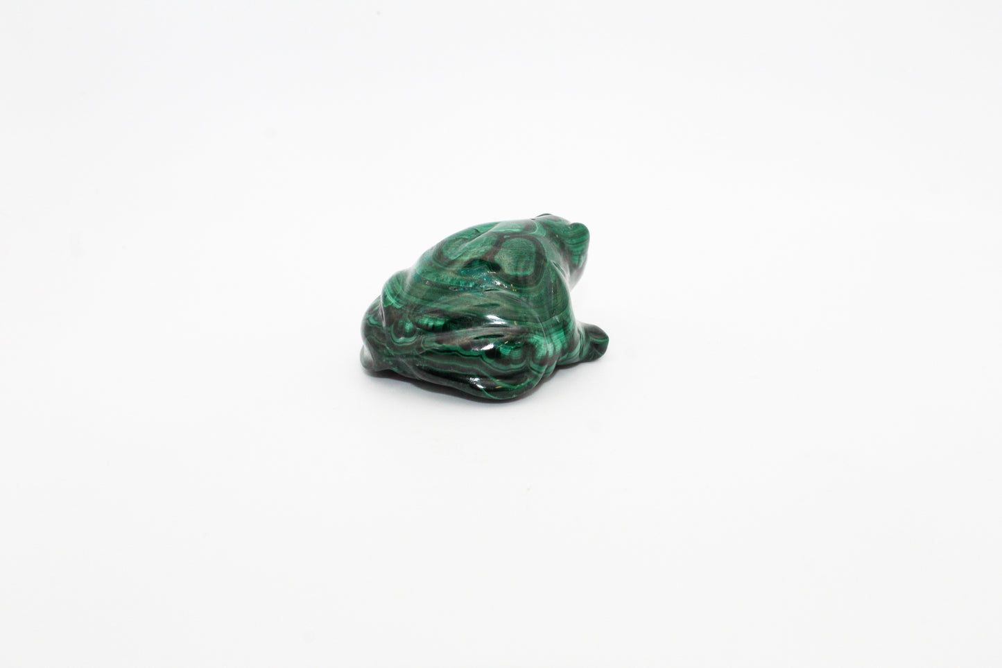 Malachite Frog 1