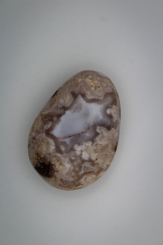Polished flower agate palm stone.