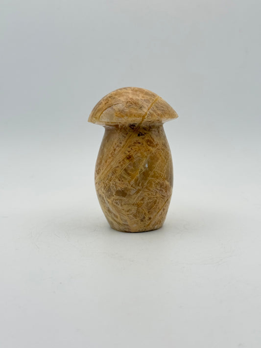 Polished yellow moonstone in the shape of a mushroom.