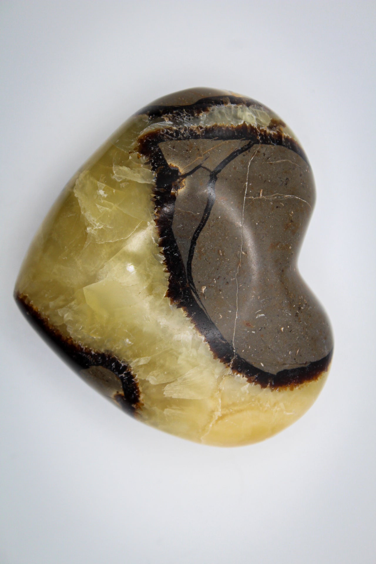 Polished septarian heart.