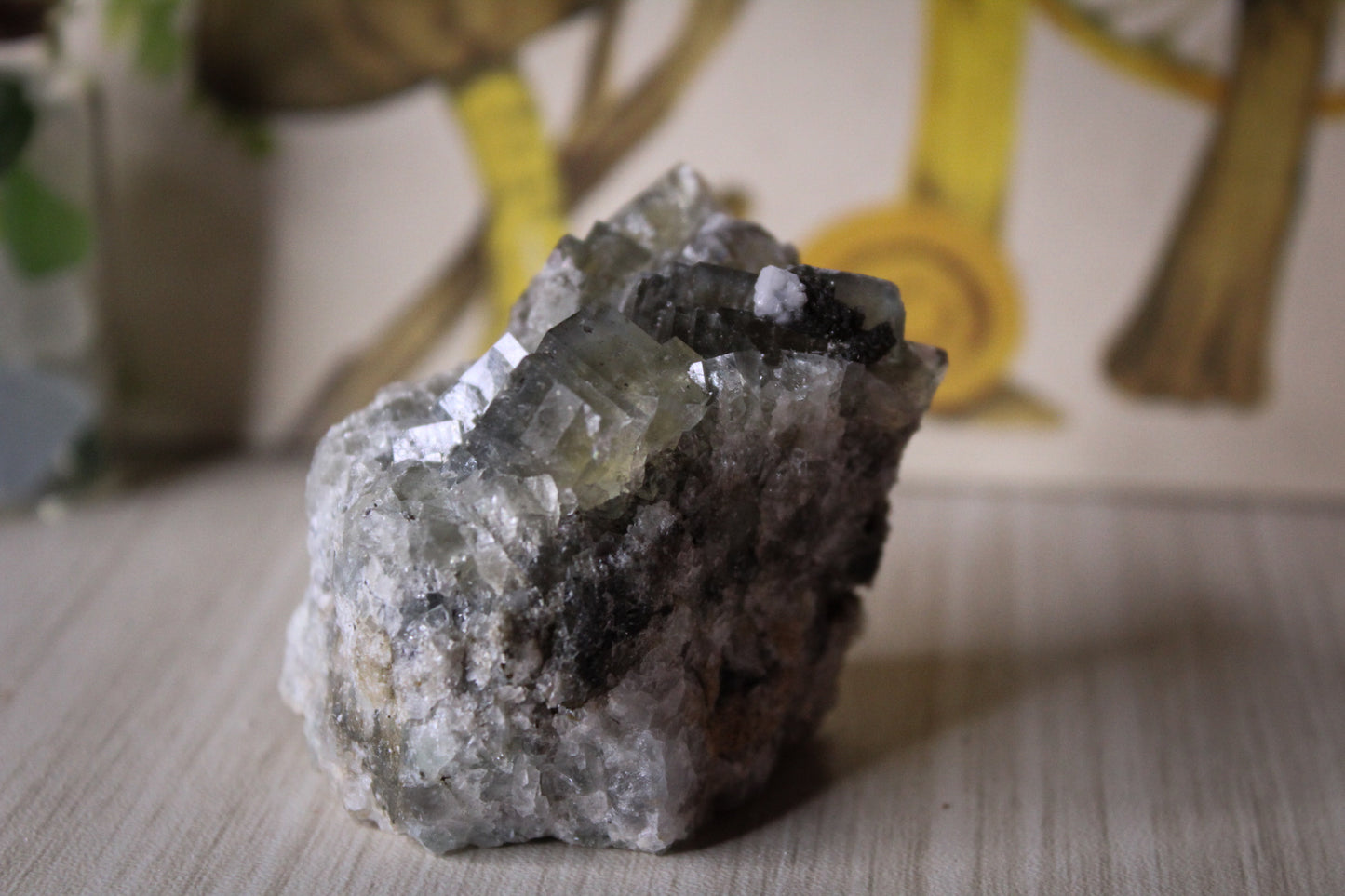 Fluorite C5