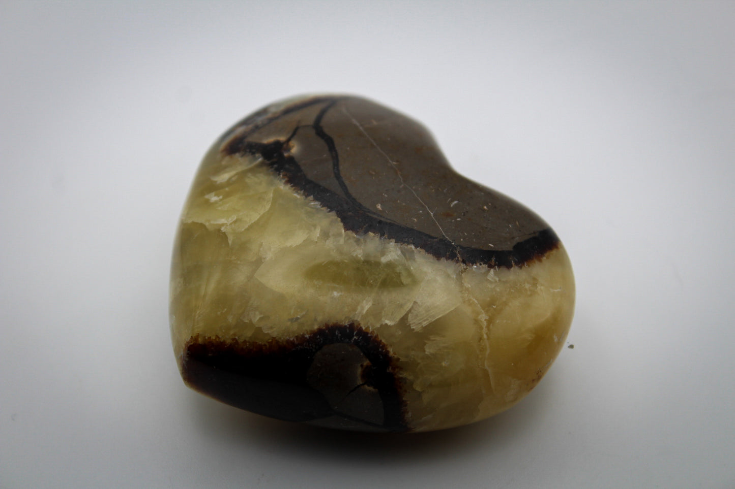 Polished septarian heart.