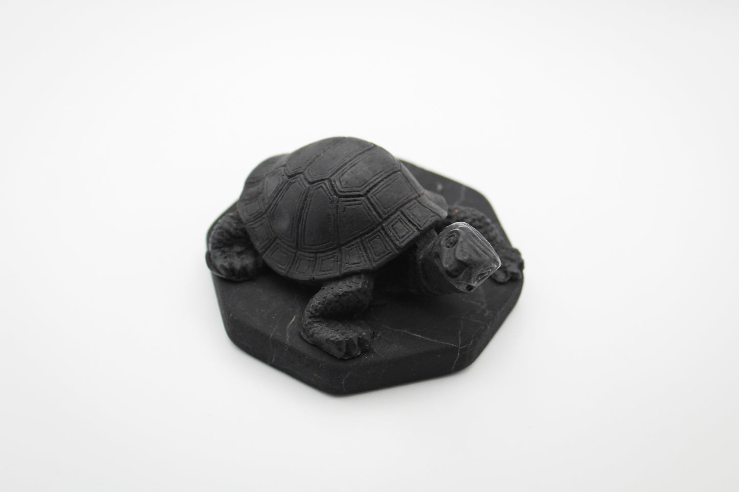 Shungite Turtle
