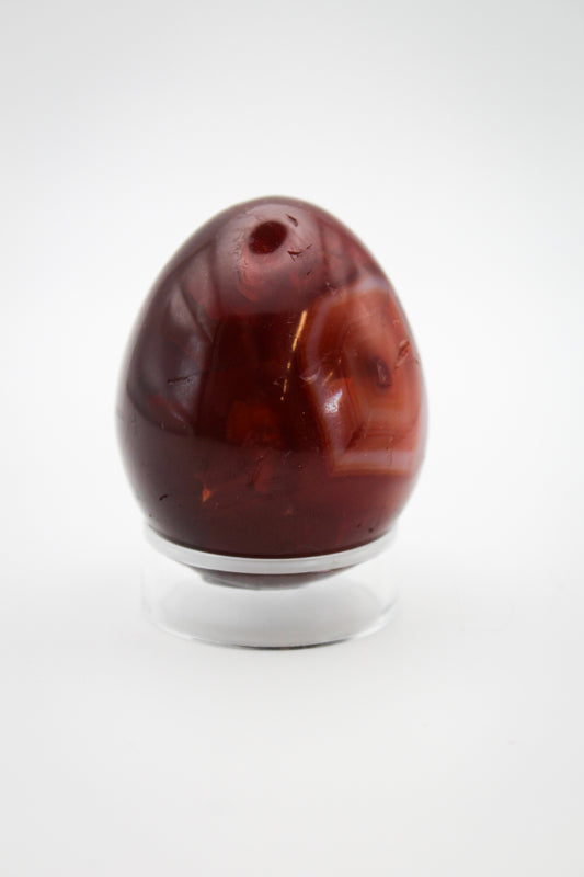 A polished carnelian egg-shaped stone on a clear stand.