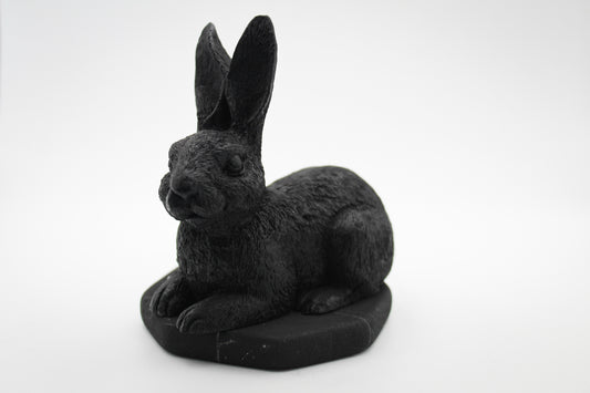 Shungite Rabbit