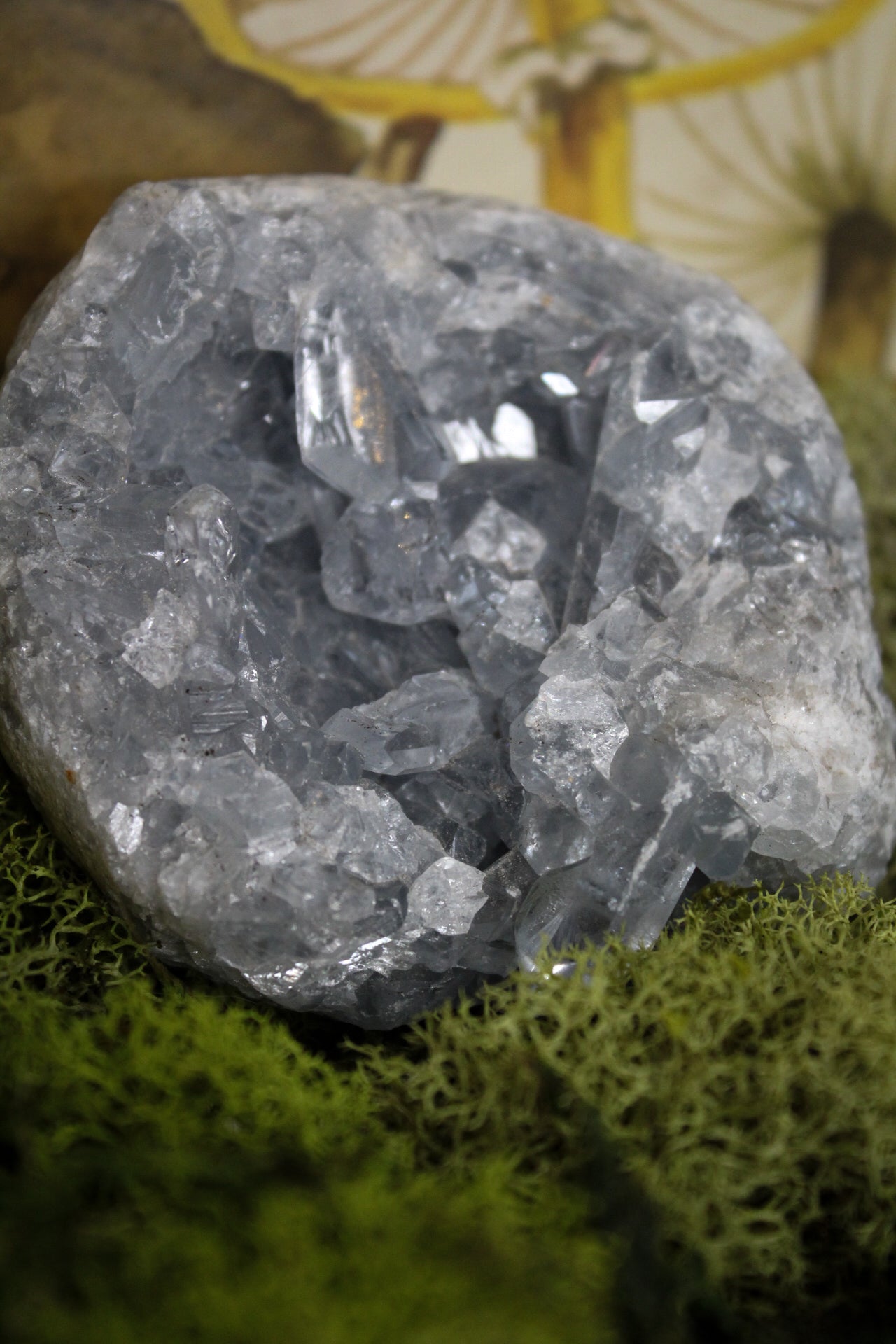 Celestite