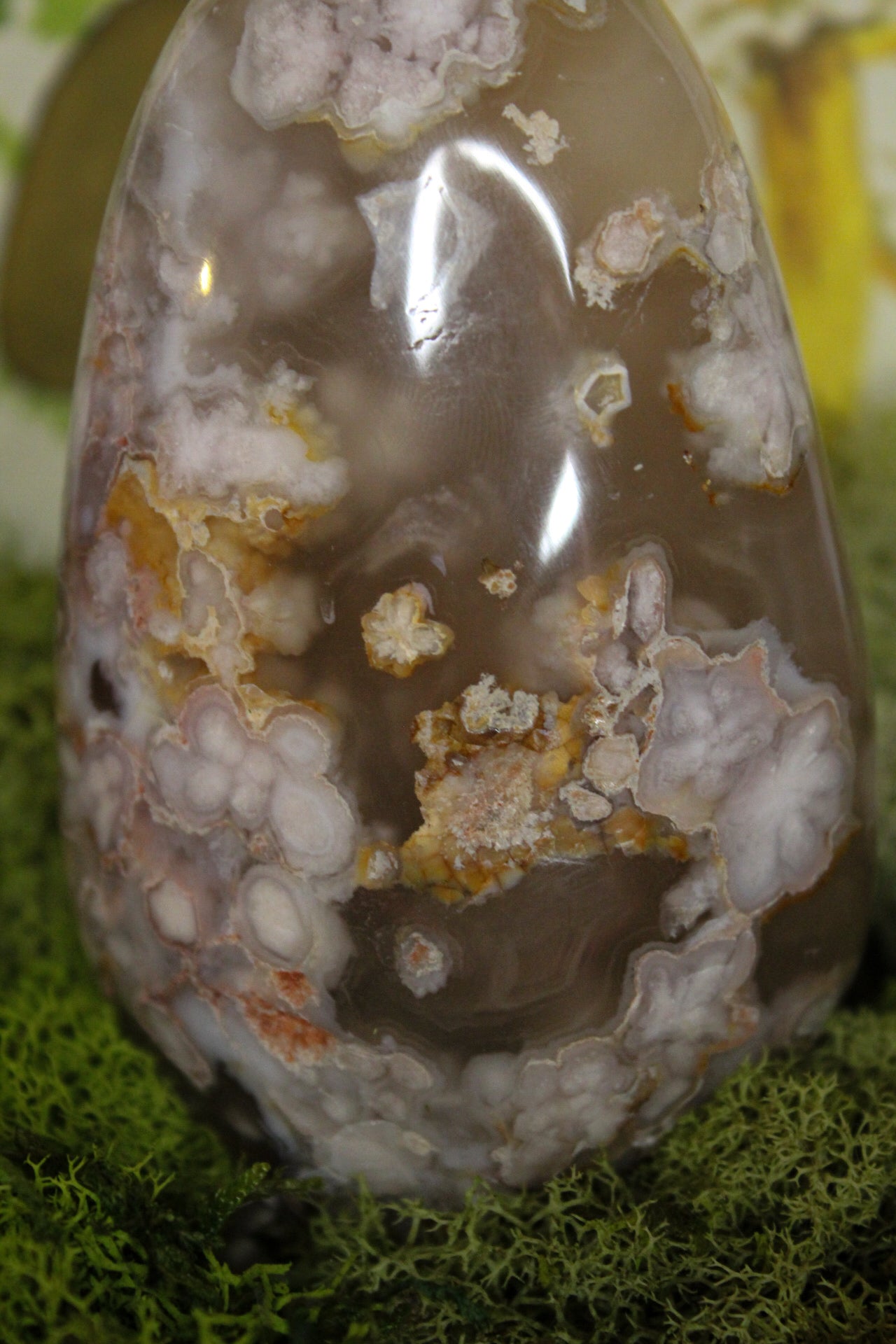 Flower Agate Freeform