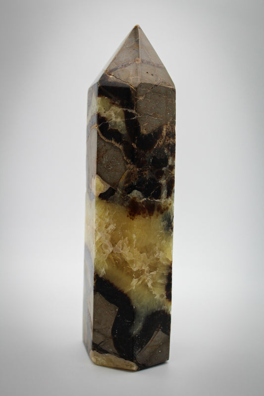A polished Septarian Tower stone with a striped pattern featuring shades of gray, brown, and black.