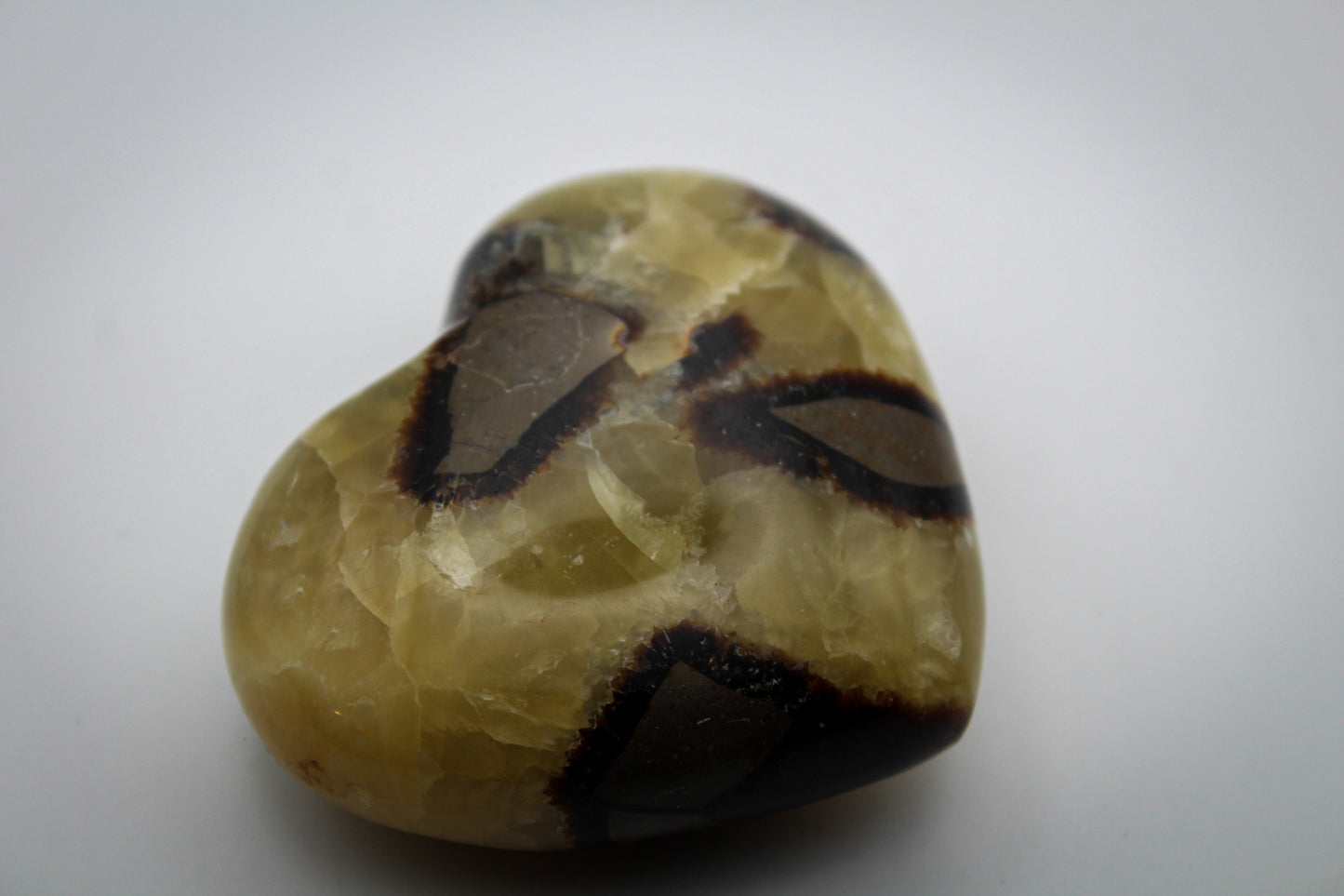 Polished septarian heart.