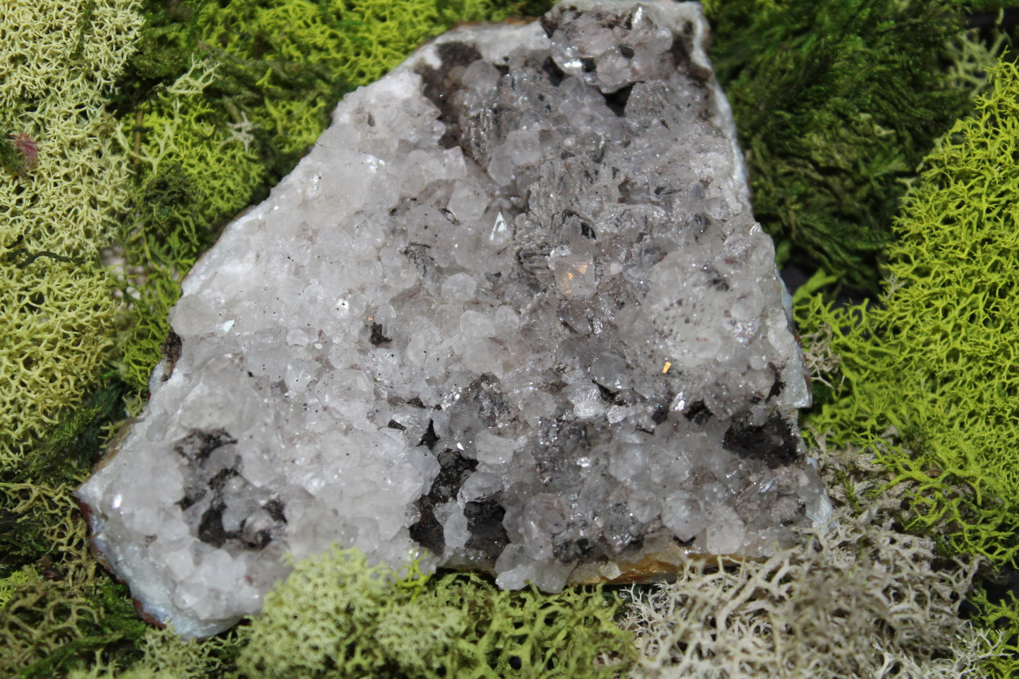 Goethite Quartz #11