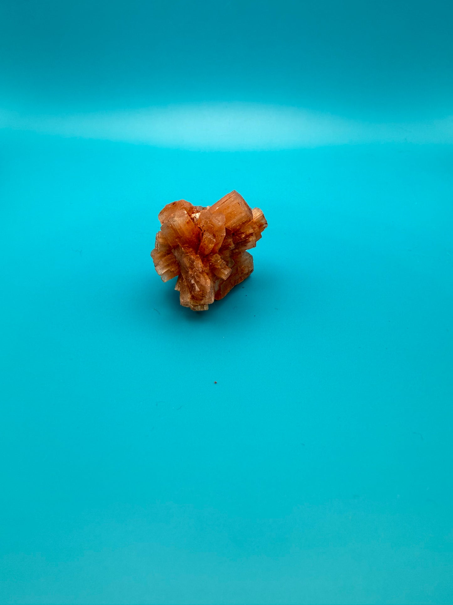 Aragonite cluster with nice crystal formations.