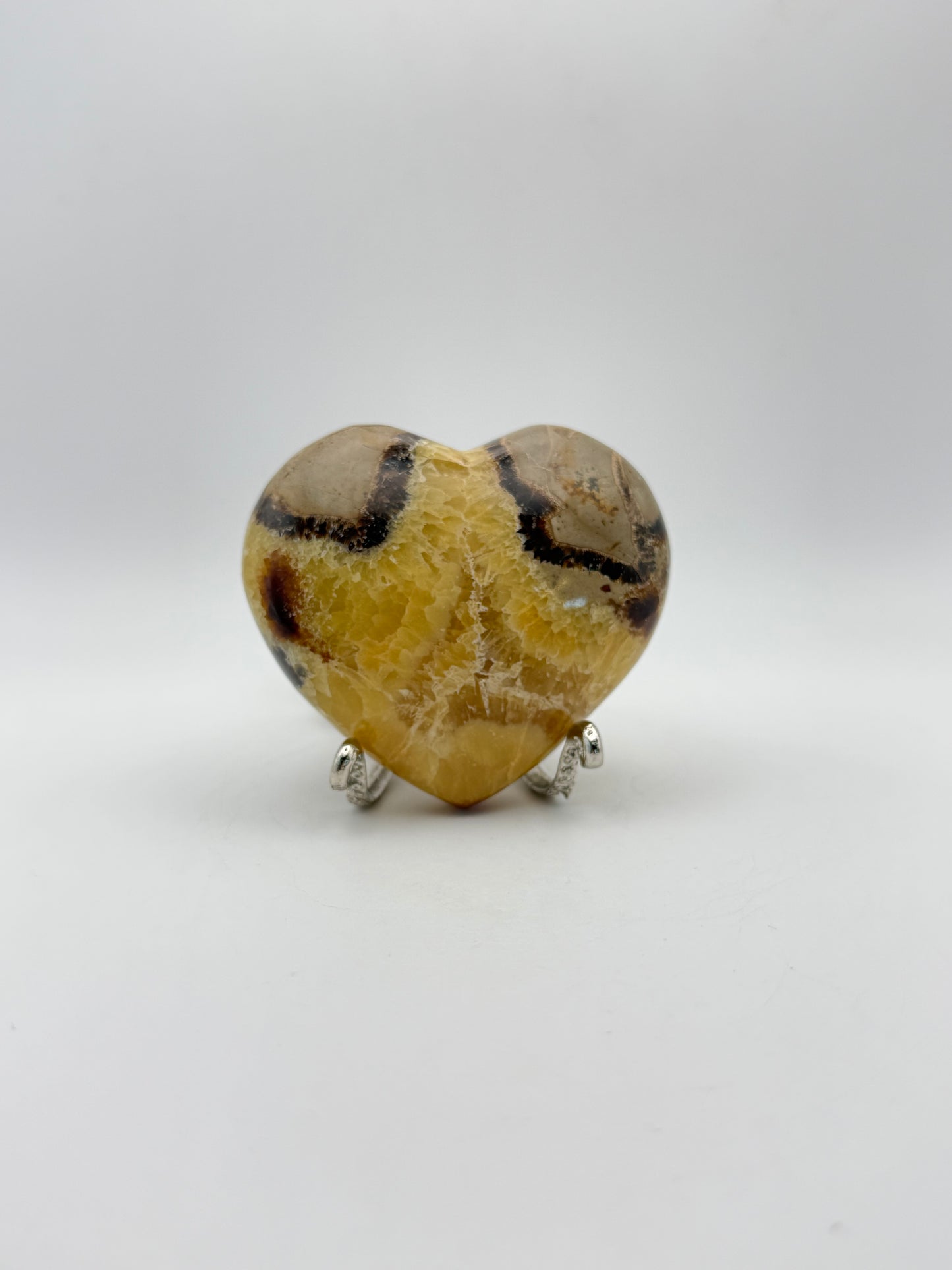 Polished septarian heart.