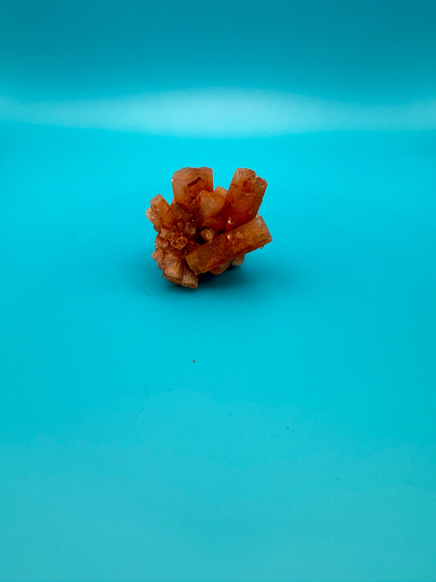 Aragonite cluster with nice crystal formations.