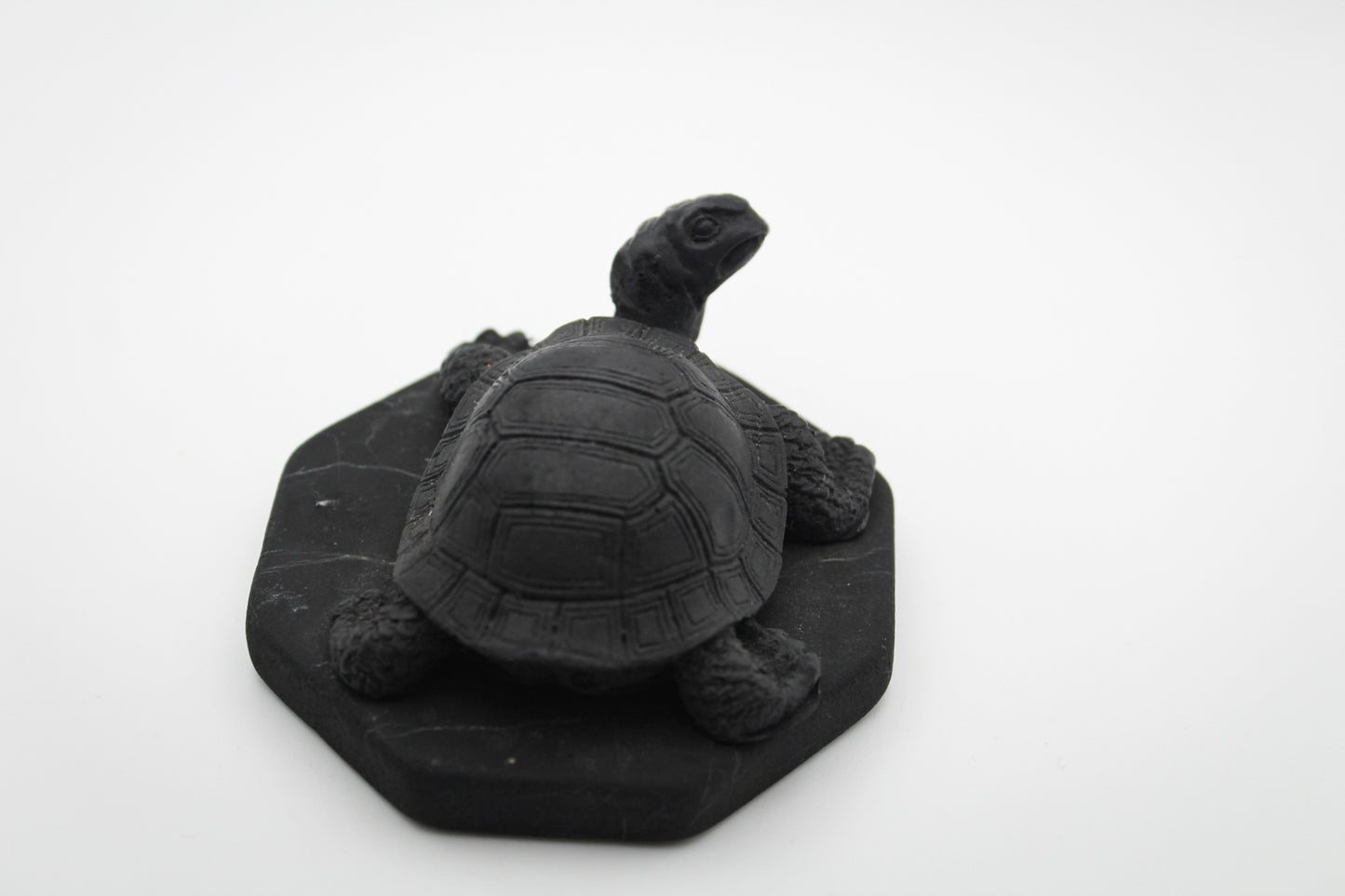 Shungite Turtle