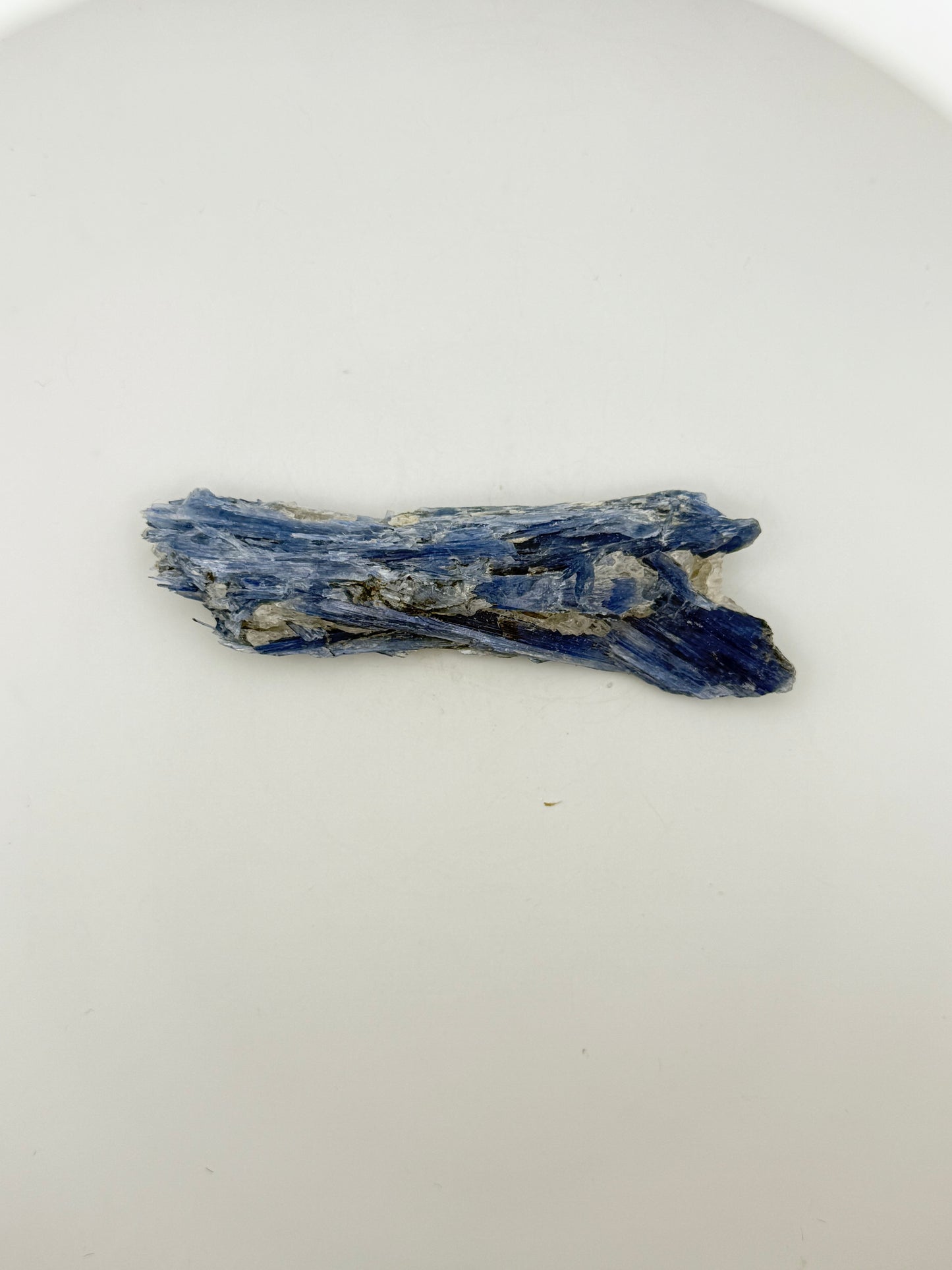 Blue Kyanite crystal cluster