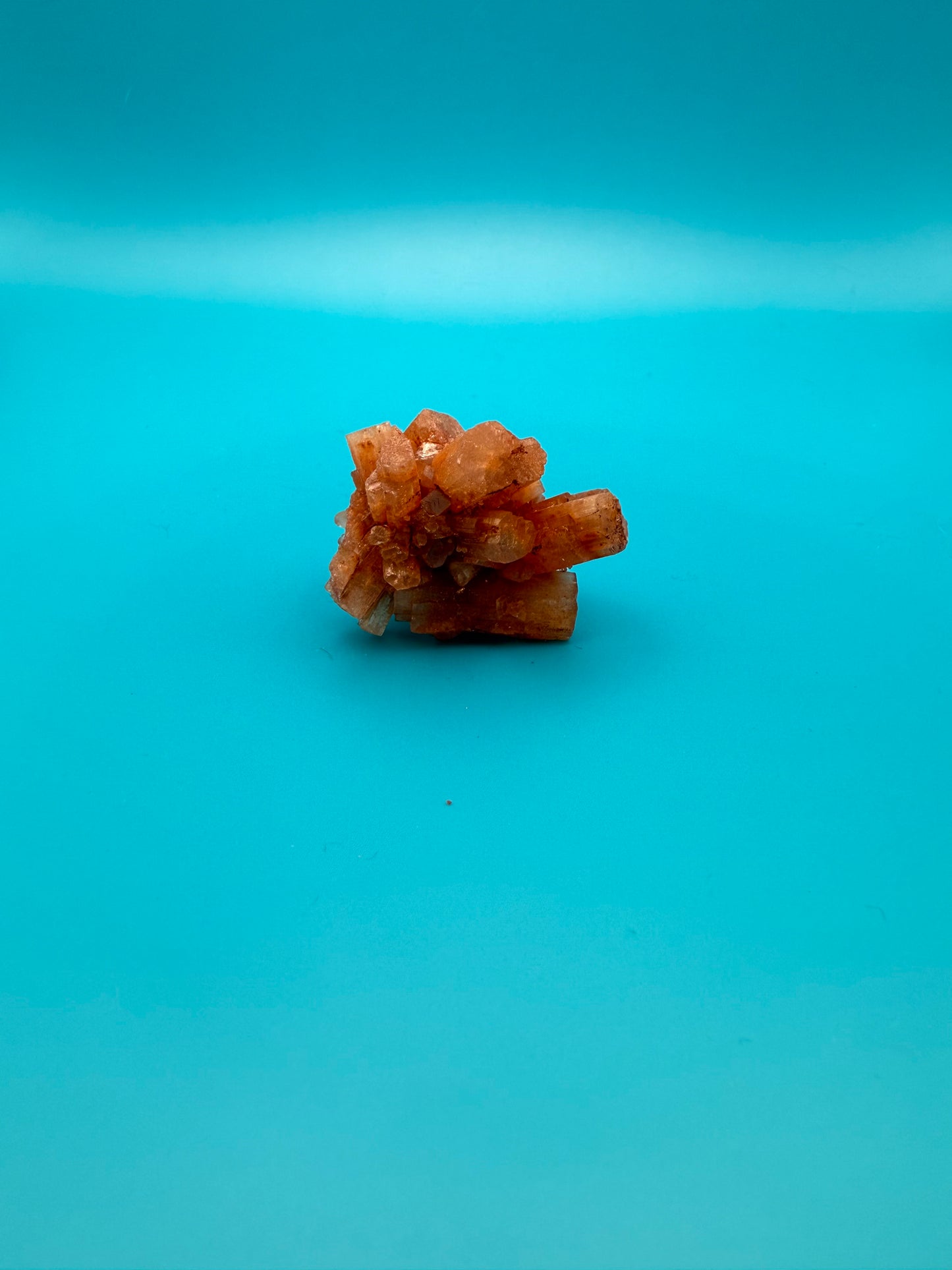 Aragonite cluster with nice crystal formations.