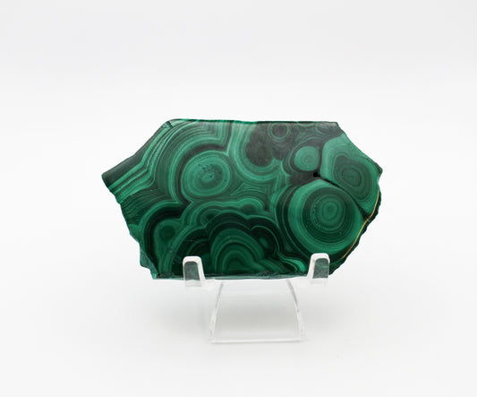 A polished slice of malachite stone with distinctive swirling patterns.