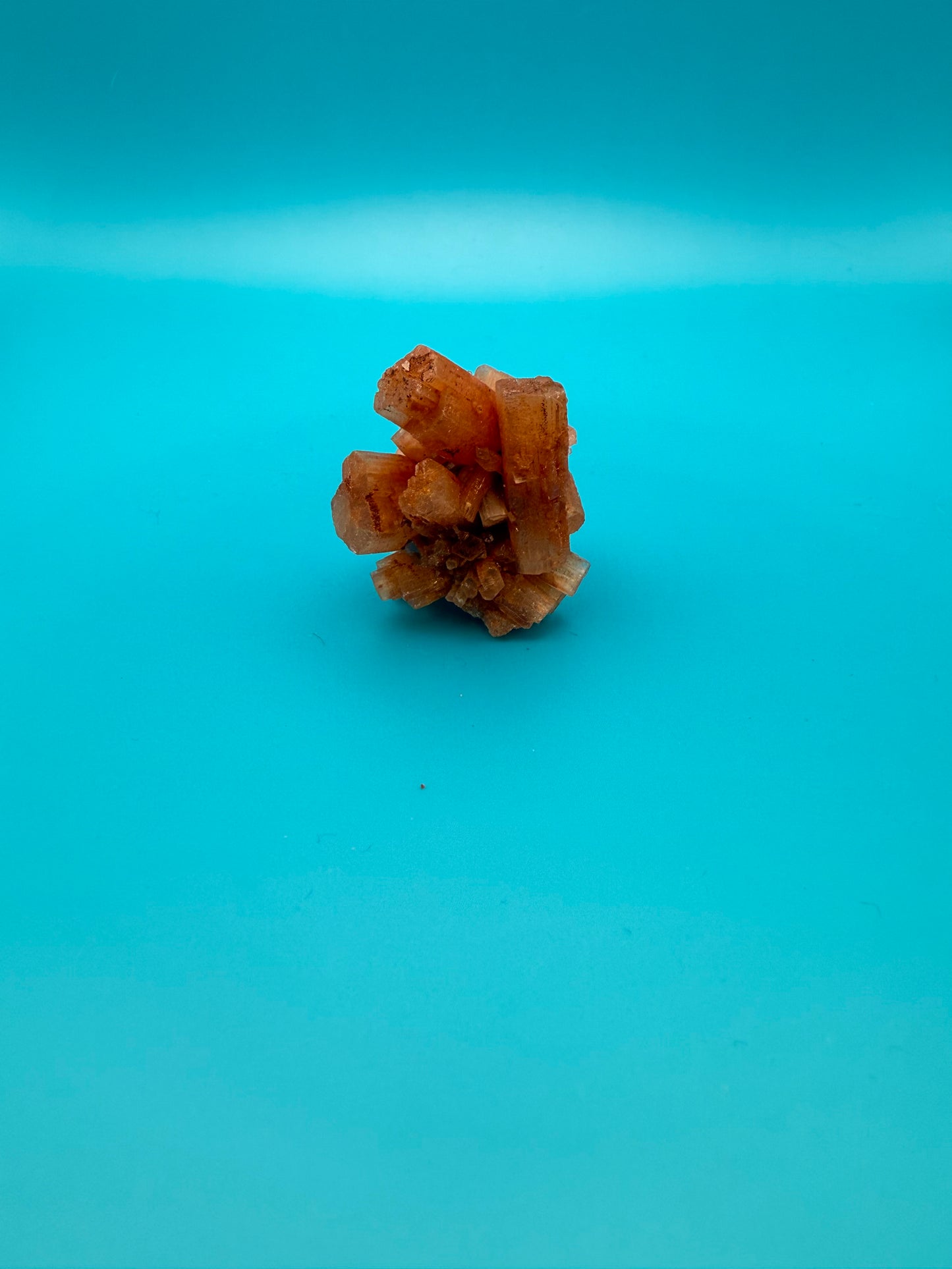 Aragonite cluster with nice crystal formations.