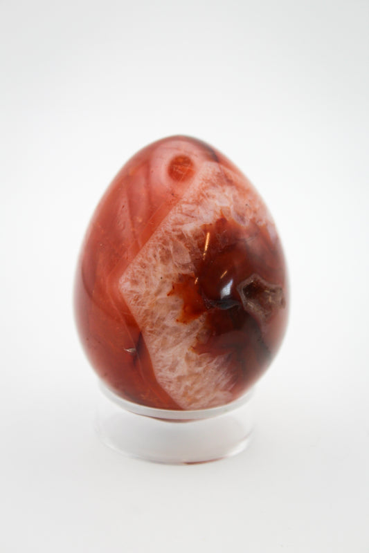 A polished carnelian egg-shaped stone on a clear stand.