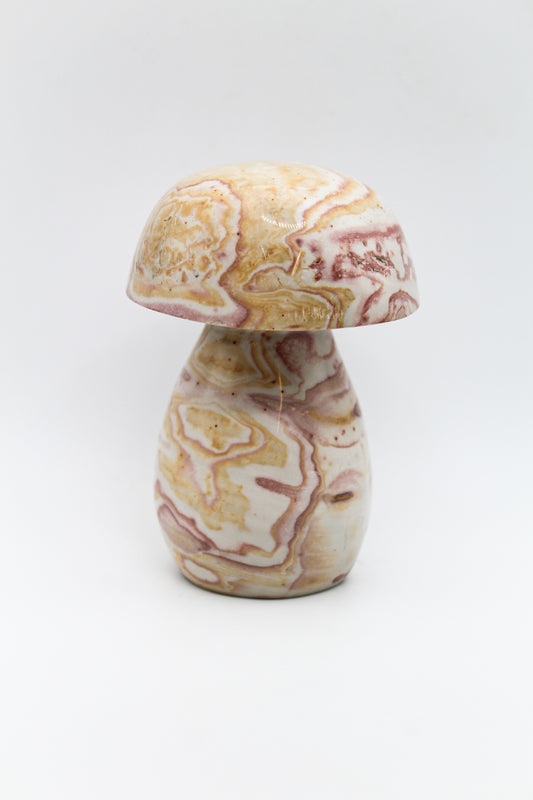 A polished polychrome jasper mushroom carving.