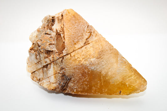 An elongated Dog Tooth Calcite crystal on a white background