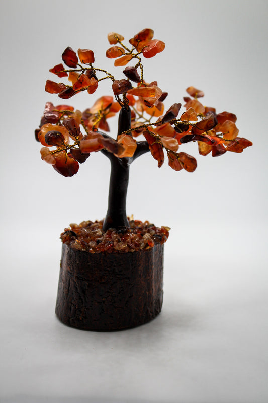 Carnelian crystal tree with carnelian pieces as leaves.