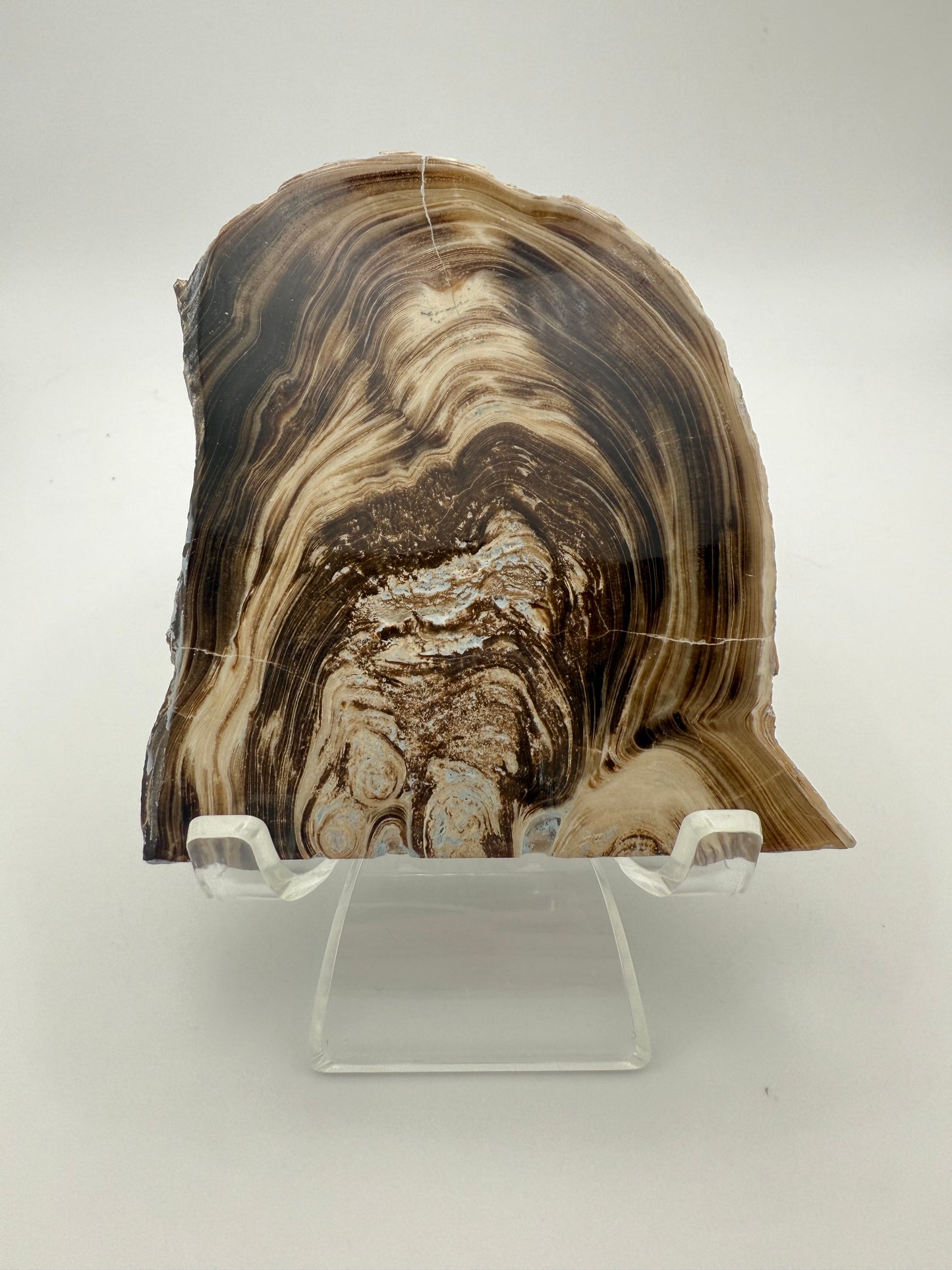Polished chocolate calcite crystal tile.