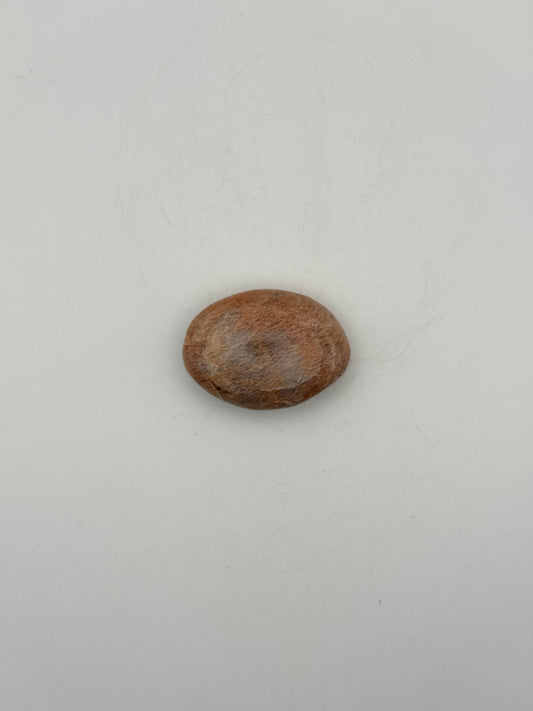 Polished Peach moonstone palm stone.